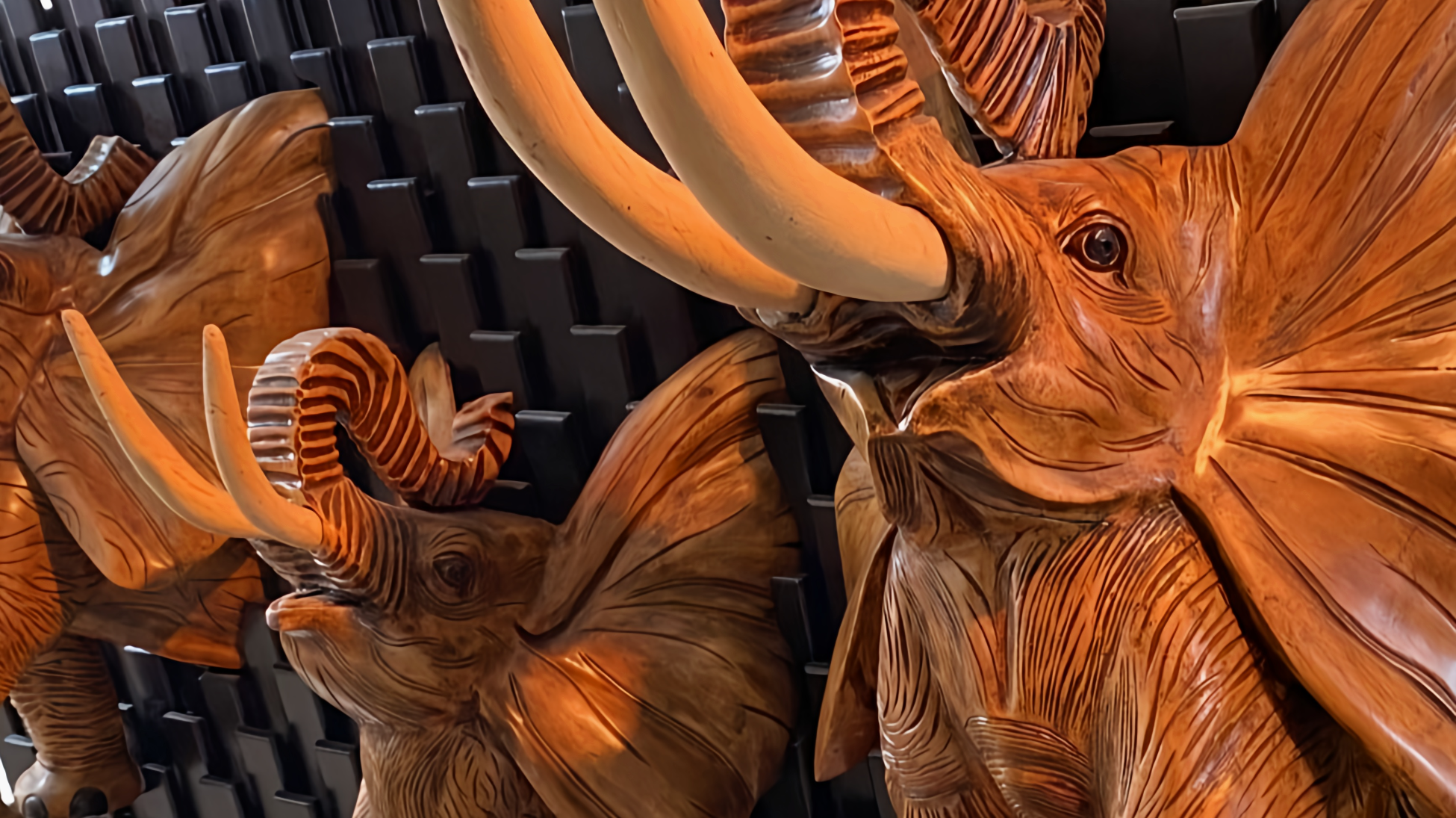 Éléphants sur Bois en Relief