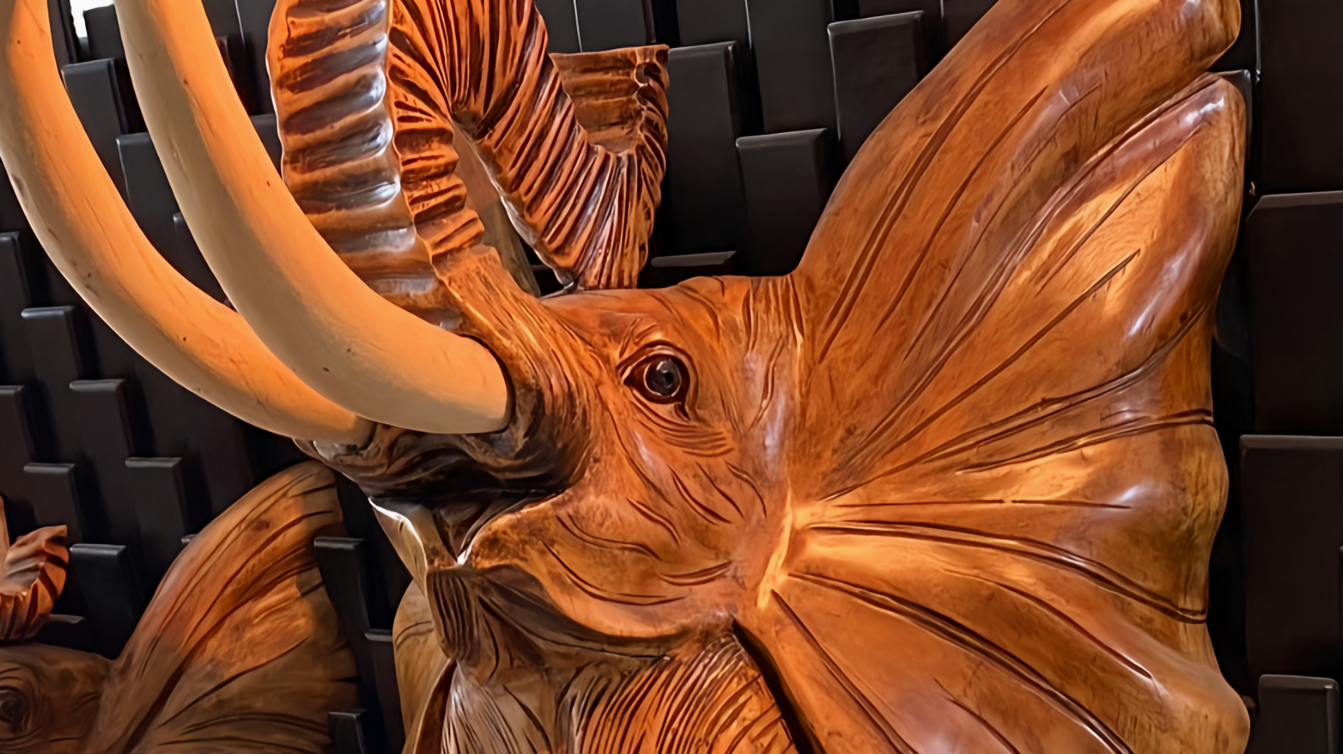 Éléphants sur Bois en Relief