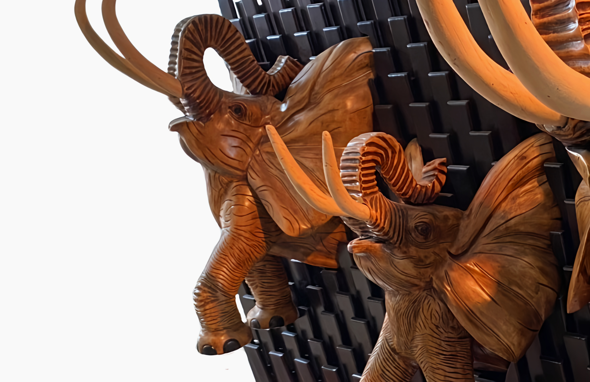 Éléphants sur Bois en Relief