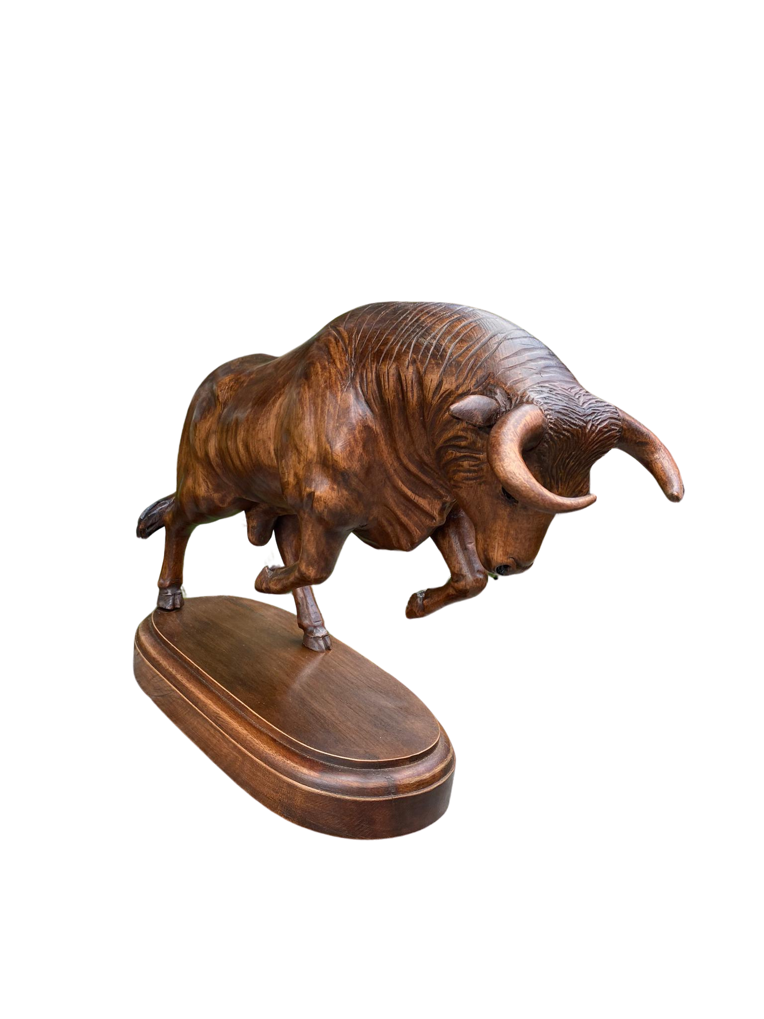 Toro Enragé