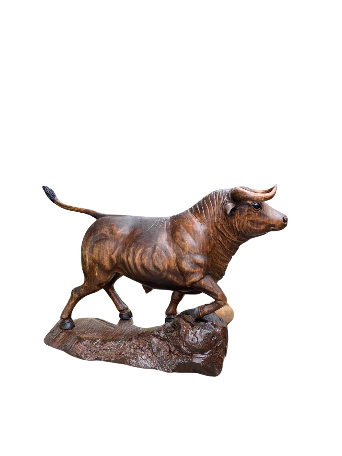Toro Majestueux