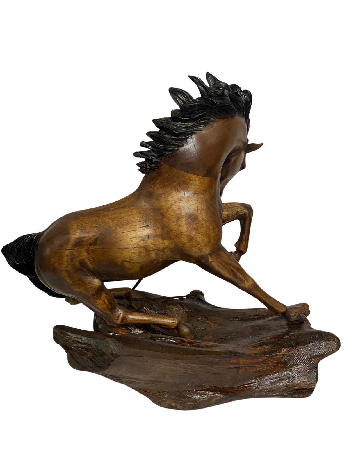 Majesté Èquestre