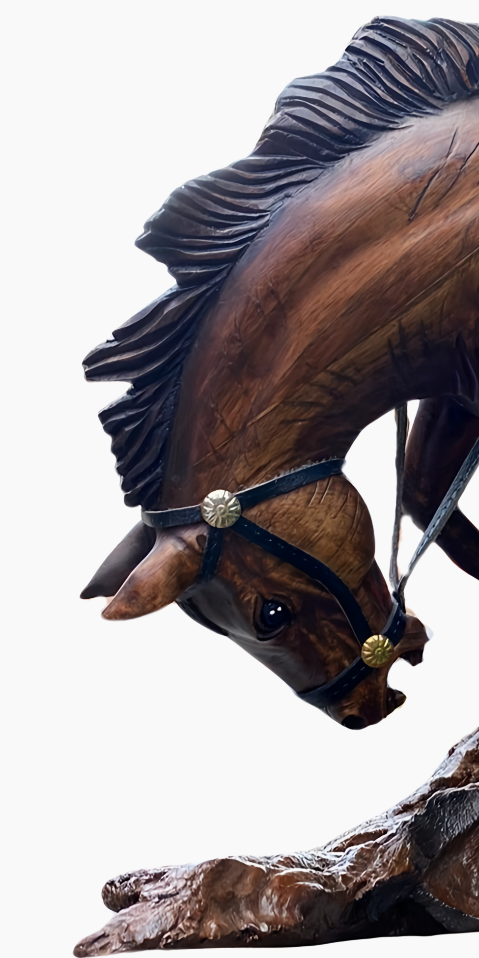 Cheval Sauvage avec Selle en Bois